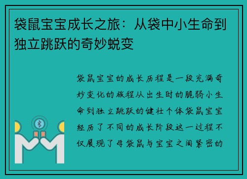 袋鼠宝宝成长之旅：从袋中小生命到独立跳跃的奇妙蜕变